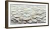 Sea Shells Detail No 7-Treechild-Framed Photographic Print