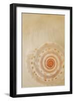 Sea Shells I-Karyn Millet-Framed Photographic Print