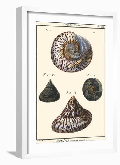 Sea Shells II-Denis Diderot-Framed Art Print