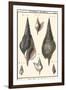 Sea Shells III-Denis Diderot-Framed Art Print
