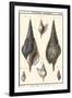 Sea Shells III-Denis Diderot-Framed Art Print