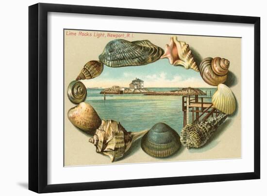 Sea Shells, Lime Rocks Lighthouse, Newport, Rhode Island-null-Framed Art Print