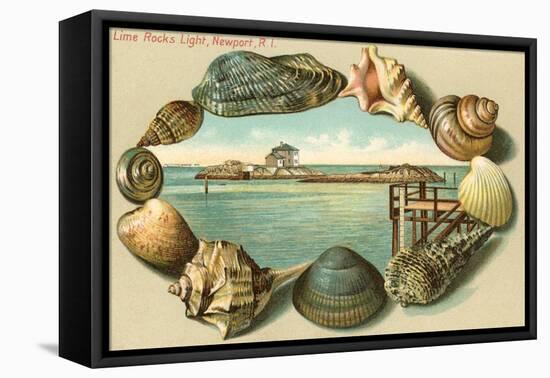 Sea Shells, Lime Rocks Lighthouse, Newport, Rhode Island-null-Framed Stretched Canvas
