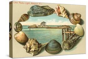 Sea Shells, Lime Rocks Lighthouse, Newport, Rhode Island-null-Stretched Canvas