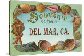 Sea Shells, Souvenir from Del Mar, California-null-Stretched Canvas