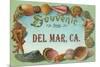 Sea Shells, Souvenir from Del Mar, California-null-Mounted Art Print