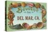 Sea Shells, Souvenir from Del Mar, California-null-Stretched Canvas