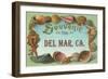 Sea Shells, Souvenir from Del Mar, California-null-Framed Art Print