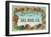 Sea Shells, Souvenir from Del Mar, California-null-Framed Art Print