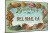 Sea Shells, Souvenir from Del Mar, California-null-Mounted Art Print