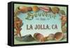 Sea Shells, Souvenir from La Jolla, California-null-Framed Stretched Canvas