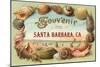Sea Shells, Souvenir from Santa Barbara, California-null-Mounted Art Print