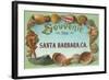 Sea Shells, Souvenir from Santa Barbara, California-null-Framed Art Print