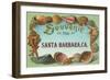 Sea Shells, Souvenir from Santa Barbara, California-null-Framed Art Print