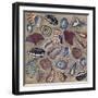 Sea Shells- Square-Carissa Luminess-Framed Giclee Print