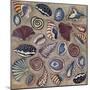 Sea Shells- Square-Carissa Luminess-Mounted Giclee Print