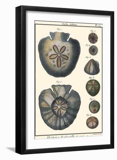 Sea Shells V-Denis Diderot-Framed Art Print