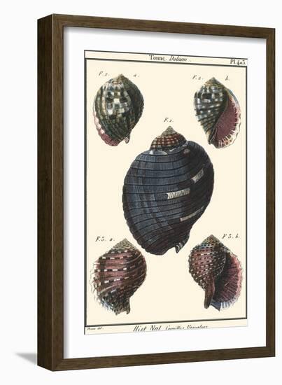 Sea Shells VII-Denis Diderot-Framed Art Print