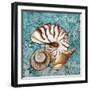 Sea Shells-Megan Aroon Duncanson-Framed Giclee Print