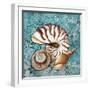 Sea Shells-Megan Aroon Duncanson-Framed Giclee Print