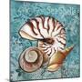 Sea Shells-Megan Aroon Duncanson-Mounted Giclee Print