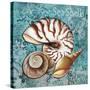 Sea Shells-Megan Aroon Duncanson-Stretched Canvas