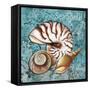 Sea Shells-Megan Aroon Duncanson-Framed Stretched Canvas