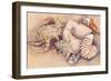 Sea Shells-Joanne Porter-Framed Giclee Print