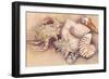 Sea Shells-Joanne Porter-Framed Giclee Print