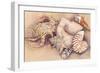 Sea Shells-Joanne Porter-Framed Giclee Print