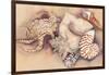 Sea Shells-Joanne Porter-Framed Premium Giclee Print