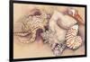 Sea Shells-Joanne Porter-Framed Premium Giclee Print