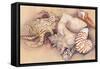 Sea Shells-Joanne Porter-Framed Stretched Canvas