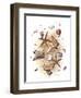 Sea Shells-null-Framed Premium Giclee Print