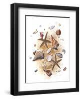 Sea Shells-null-Framed Premium Giclee Print