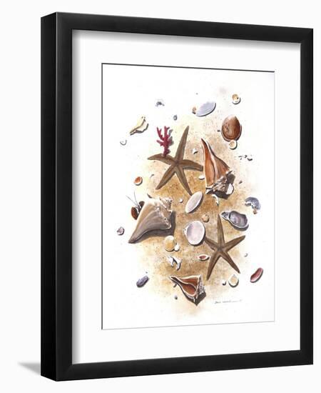 Sea Shells-null-Framed Premium Giclee Print