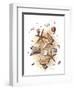 Sea Shells-null-Framed Premium Giclee Print