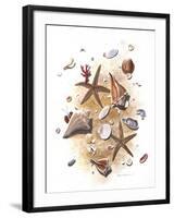 Sea Shells-null-Framed Giclee Print