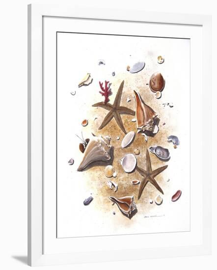 Sea Shells-null-Framed Giclee Print