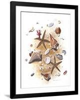 Sea Shells-null-Framed Giclee Print