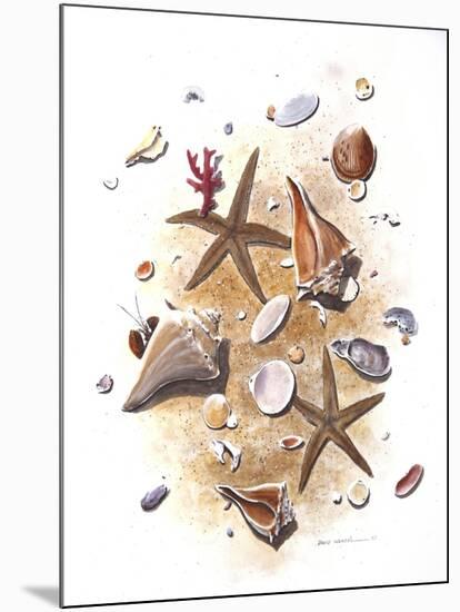 Sea Shells-null-Mounted Giclee Print