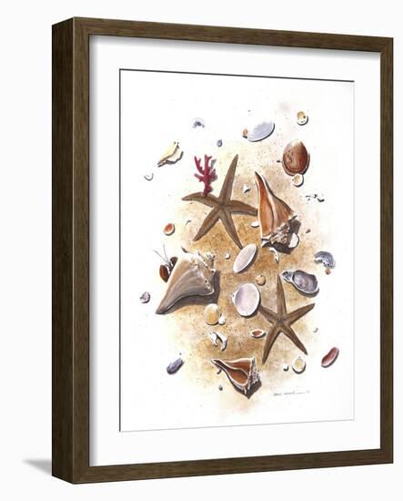 Sea Shells-null-Framed Giclee Print