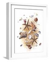 Sea Shells-null-Framed Giclee Print