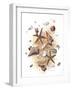 Sea Shells-null-Framed Giclee Print