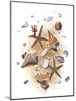 Sea Shells-null-Mounted Giclee Print