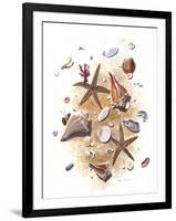 Sea Shells-null-Framed Giclee Print