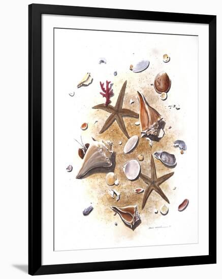 Sea Shells-null-Framed Giclee Print