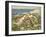 Sea Shore Roses-Edward Atkinson Hornel-Framed Giclee Print