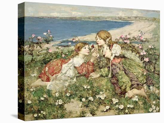 Sea Shore Roses-Edward Atkinson Hornel-Stretched Canvas