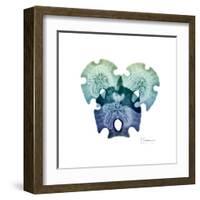 Sea Sky Sand Dollars-Albert Koetsier-Framed Art Print